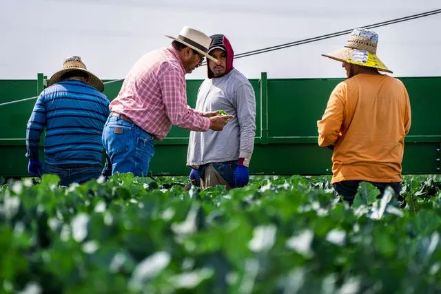 Hurl Fertilizer Dealership apply online